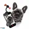 Accesorios para perros y gatos, juguetes, cestas, cuencos de comida fotografía 6