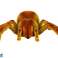 Ferngesteuerte Spinne Tarantel Infrarot Braun R/C Bild 2