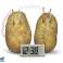 Creative Science Experiment Kit Eco Potato Clock image 1