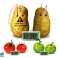 Creative Science Experiment Kit Eco Potato Clock image 2