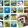 Memory zoo  KER 7264 bilde 1
