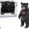 Ensemble de figurines d'animaux en peluche ours photo 1