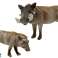 Set mit 2 afrikanischen Warzenschweinfiguren mit Jungtier, Serie World Animals Bild 1
