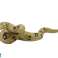 Boa Constrictor Snake gyűjthető szobrocska Animals of the World kép 1