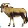 Antilopenfigur Afrikanische Tiere Zoo Bild 1