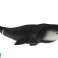 Large collectible Greenland whale figurine image 1