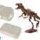 Archäologisches Set 2in1 Dinosaurier Skelett Tyrannosaurus Bild 2