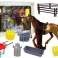 Horse Combing Accessories Corral Hay Stable image 3