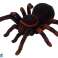 Mando a distancia Spider Tarántula Negro R/C fotografía 1
