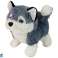 Interactive Husky Dog Mascot Walks Wiggle Tail Sound image 1
