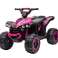 Quad für Akku HL568 Pink Bild 1
