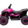 Quad für Akku HL568 Pink Bild 2