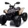 Quad Fahrrad Wiederaufladbar CAN AM Reneggate Creme Bild 1