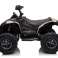 Quad Fahrrad Wiederaufladbar CAN AM Reneggate Creme Bild 2