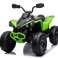 Quad für CAN AM Renegate Green Bild 1