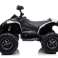 CAN AM Renegate mit Quad-Batteriebetrieb, Weiß Bild 2