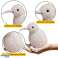 Peluche Kiwi Bird Peluche Mascota Peluche Blanco 17cm fotografía 1