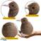Plüschvogel Kiwi Plüsch Maskottchen Kuscheltier Dunkelbraun 17cm Bild 2