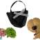 Baby Emily Puppe mit Hundetasche Blumen Bild 3