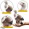 Plüsch Geier Vogel Plüsch Maskottchen Kuscheltier 25cm Bild 1
