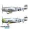 Modell P-47 Thunderbolt Bubbletop Bild 3