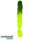 Syntetiske hårfletninger ombre grøn/neon W10344 billede 1