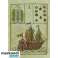Tarotkarten primal lenomand gb/fr/de Bild 1