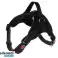 Druckfreie Hundegeschirre L OSI 00016150 Bild 1