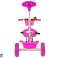 Driewieler PRO100 Roze EVA Wiel Mand foto 5