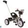 Dreirad PRO100 Schwarz EVA Radkorb Bild 1
