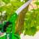 Folding Garden Saw image 2