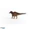 Amargasaurus dinosaurussen KER 15029 beeldje foto 6