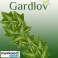 Artificial Ivy Garland 6.3m Gardlov 19732 image 3