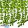Artificial Ivy Garland 6.3m Gardlov 19732 image 2