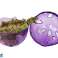 Egg Dinosaur Figur 3 Farger 9 cm bilde 2