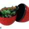 Egg Dinosaur Figur 3 Farger 9cm bilde 3