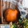Изкуствена паяжина   2 паяка Malatec 19759 картина 3