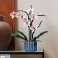 Pictogrammen 10311 Orchidee KER 10311 foto 2