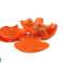 Cracking Dinosaurier Egg Draw Bunte Muschel 12 ele. Bild 1