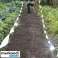 Vogelschreckband 80m Repest 21041 Bild 3