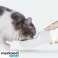Bouteille / Bidon avec Bol pour Chiens Purlov 21033 photo 5