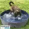 Piscine/enclos pour chien pliable 100x30 Purlov 20929 photo 2
