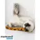 Rascador horizontal para gato Purlov 22037 fotografía 5
