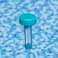 Floating Pool Thermometer Blue Bestway 58072 image 4