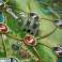 KER 84895 Game virtu image 3