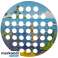 Spiel "Fische fangen" mit Magnet 22410 Bild 6