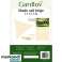 Telo da Sole 3x3x3 Beige Gardlov 23146 foto 1