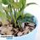 Clips clips voor planten 108 stuks Gardlov 22586 foto 2