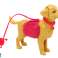 Set Puppe mit Hunden Katzenfutter Tierarzt Zubehör Bild 3
