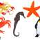 Set de Figuras de Animales Marinos Submarinos 10 Piezas fotografía 1
